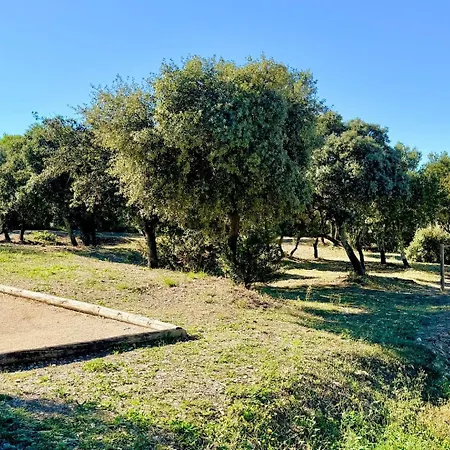 Сasa de vacaciones La Terrasse Du Sud, 4 Pers Piscine Et Calme Calvisson